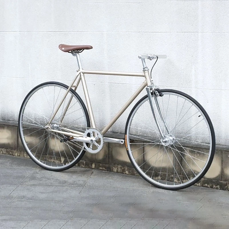 Single Speed Vintage Fahrradkurbelgarnitur Fixed Gear Silber Rennrad – Image 6